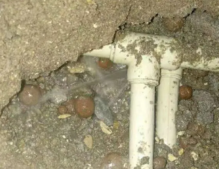 神农架林卫生间测漏