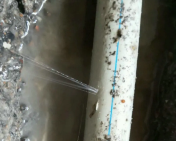 神农架林卫生间测漏水多少钱